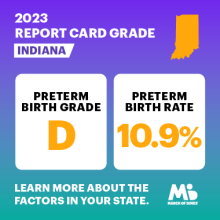 Indiana Report Card