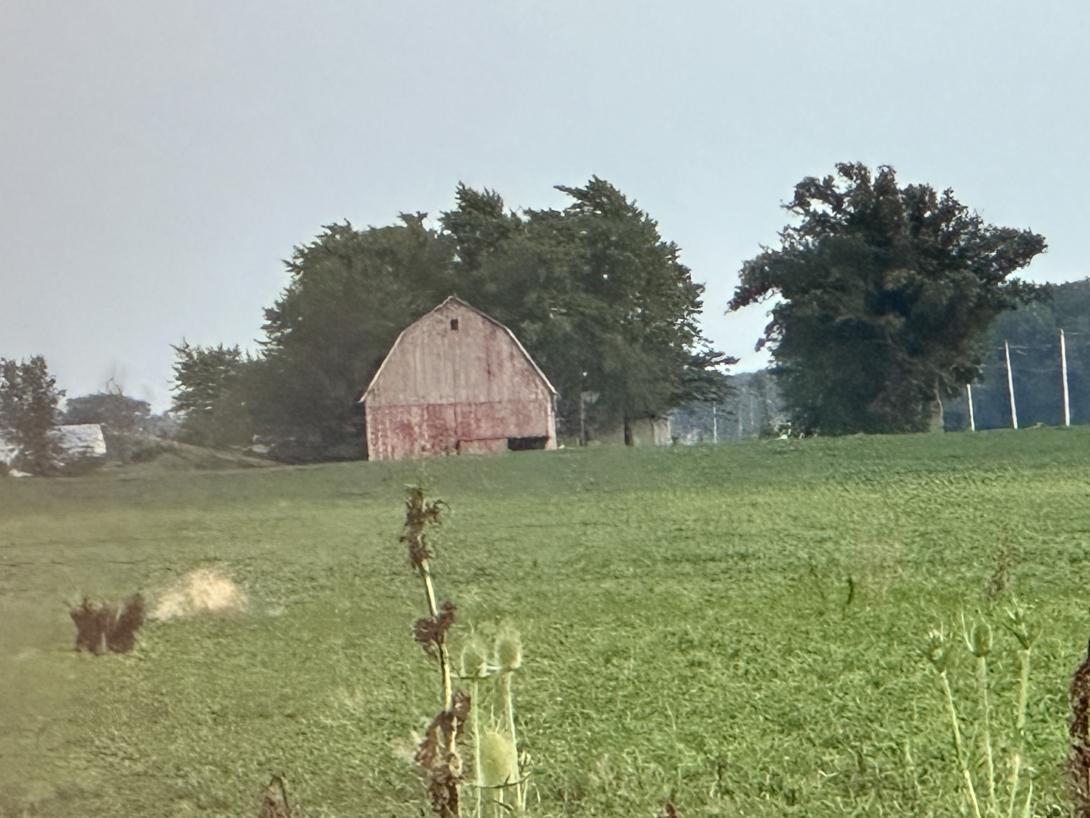 Photo of a field and red barn in the distance