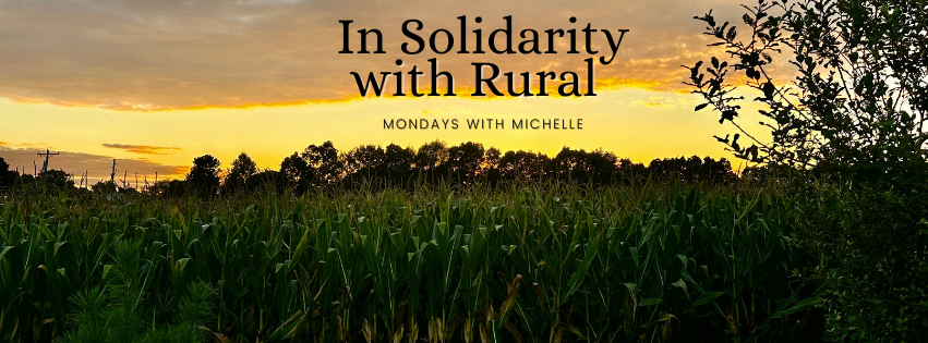 Sunset across a corn field